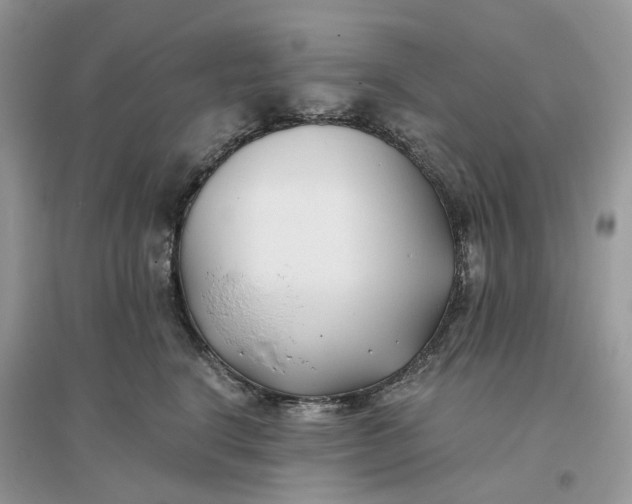 X0000096140664200802011212