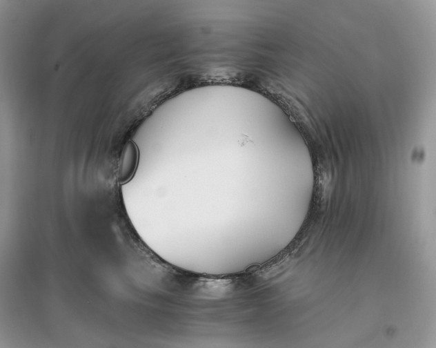 X0000096140665200802011212
