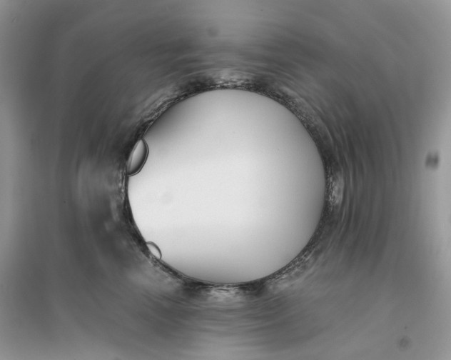 X0000096140666200802011212