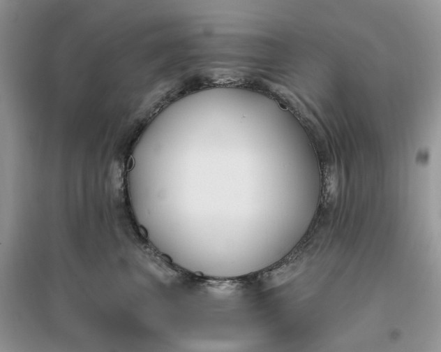 X0000096140667200802011212