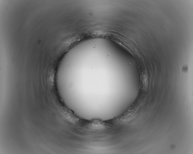 X0000096140668200802011212