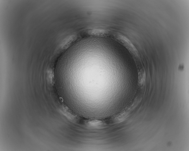 X0000096140669200802011212