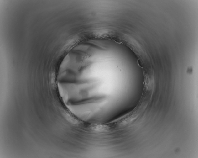 X0000096140670200802011212