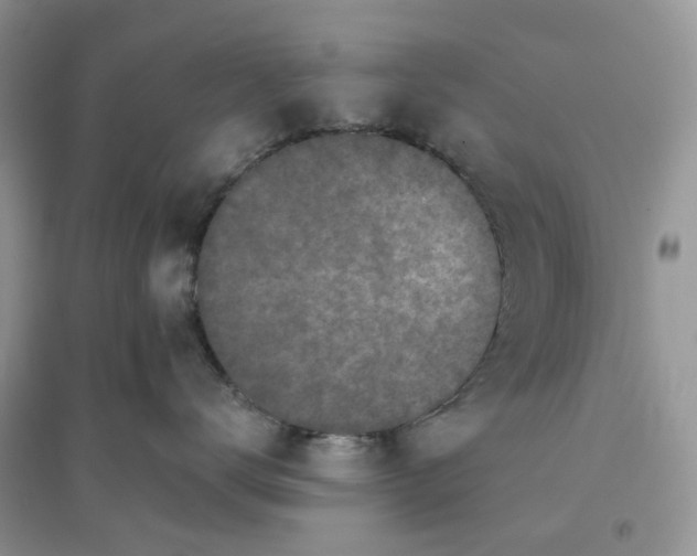 X0000096140672200802011212