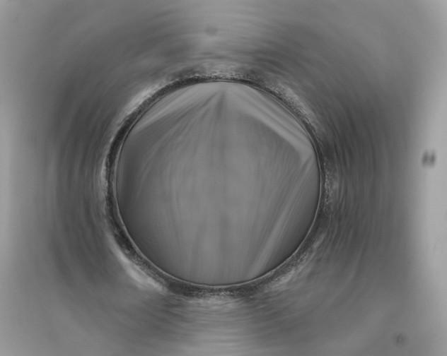 X0000096140674200802011211