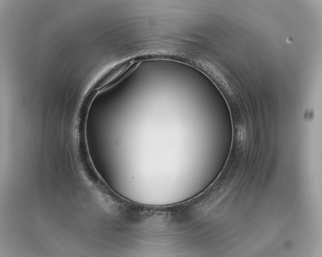 X0000096140676200802011211