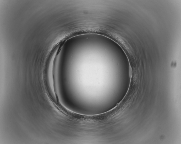 X0000096140677200802011211