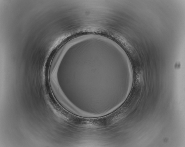 X0000096140678200802011211