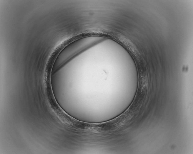 X0000096140680200802011211