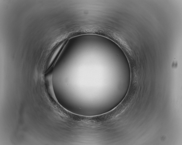 X0000096140681200802011211