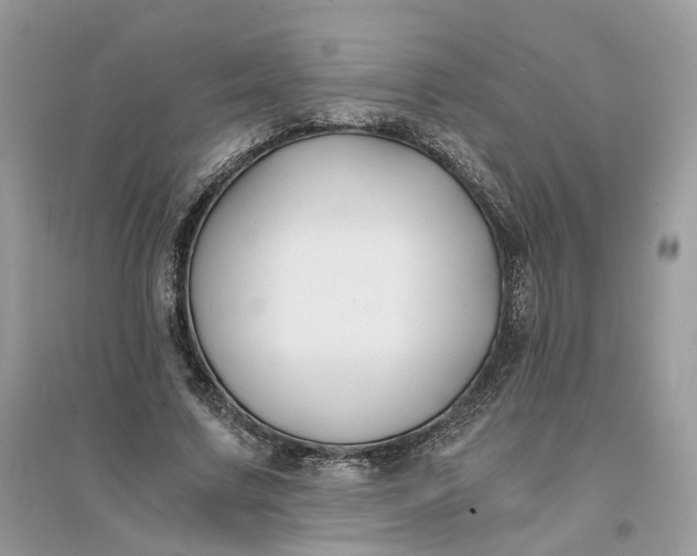 X0000096140683200802011211