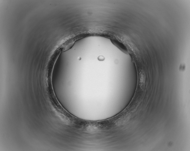 X0000096140684200802011211