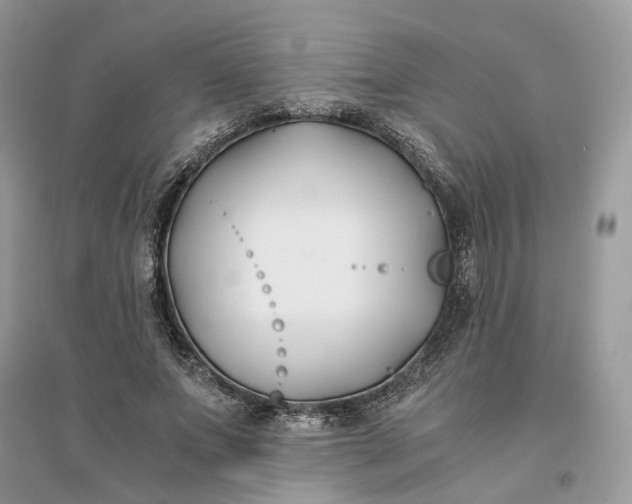 X0000096140687200802011211