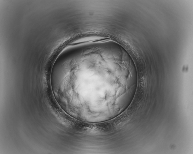 X0000096140688200802011211