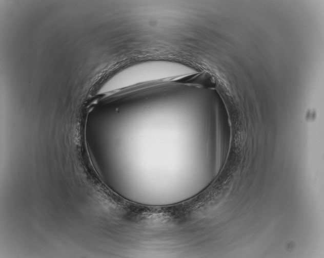 X0000096140689200802011211