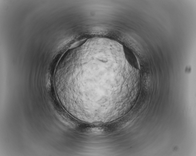 X0000096140692200802011211