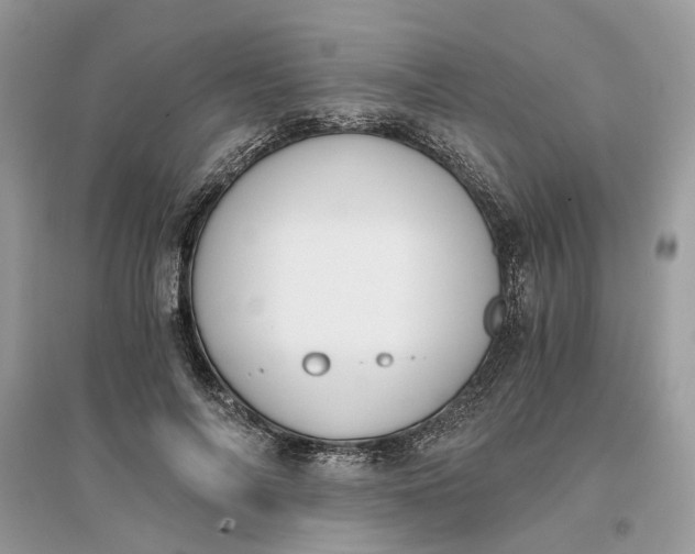 X0000096140694200802011211