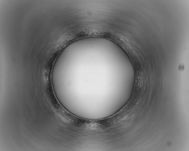 X0000096140695200802011211