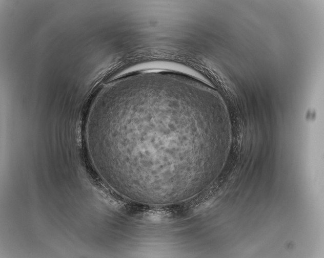 X0000096140696200802011211
