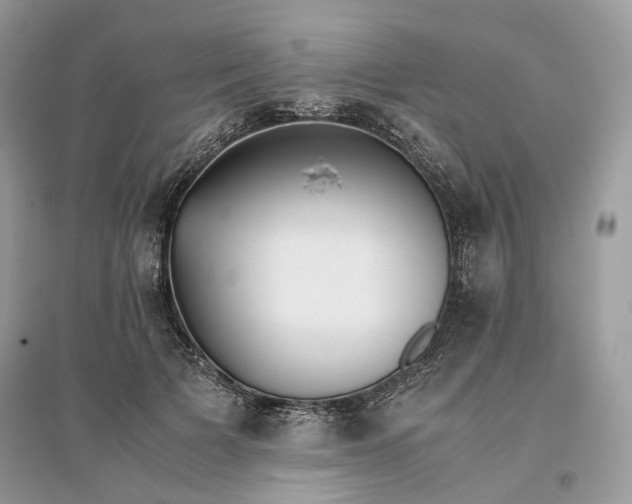X0000096140697200802011211