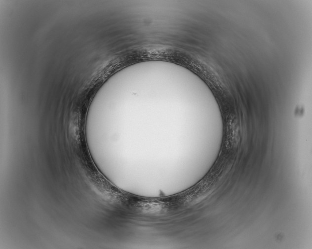 X0000096140698200802011211