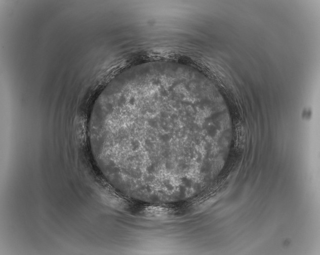 X0000096140699200802011211
