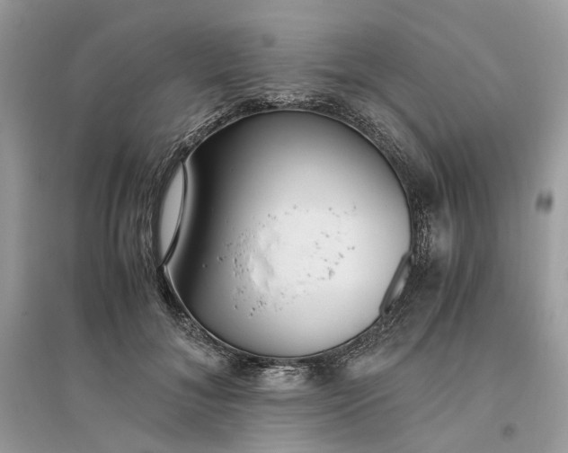 X0000096140700200802011211