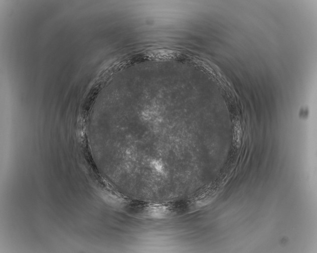 X0000096140701200802011211
