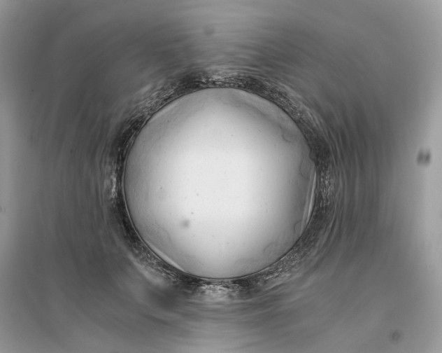 X0000096140703200802011211
