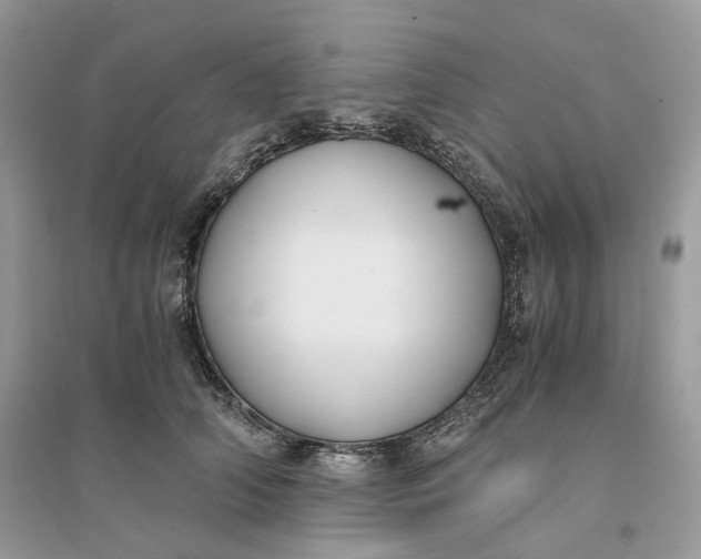 X0000096140706200802011211