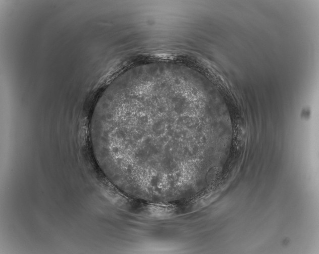X0000096140707200802011211