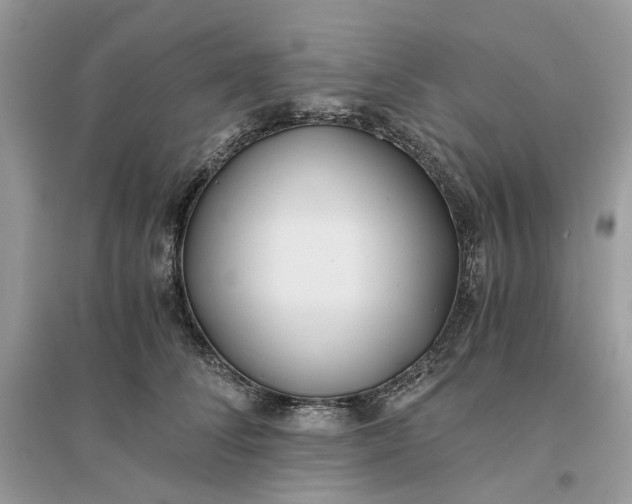 X0000096140708200802011211