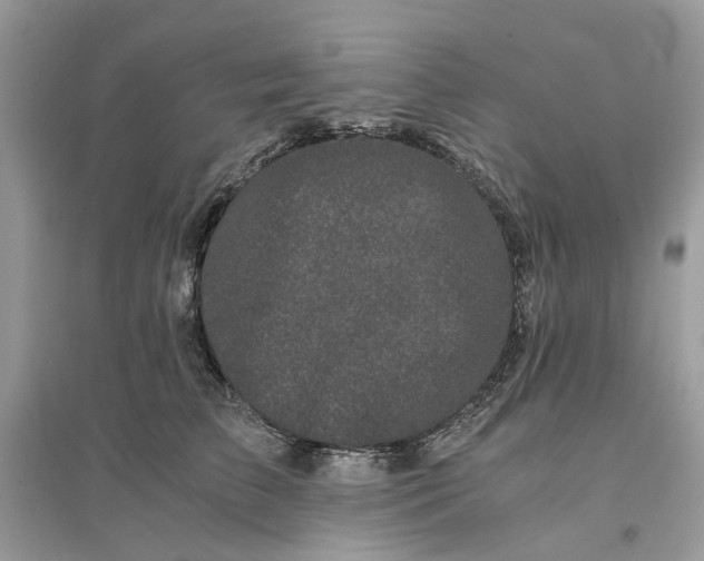 X0000096140709200802011211
