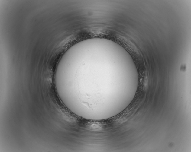 X0000096140710200802011211