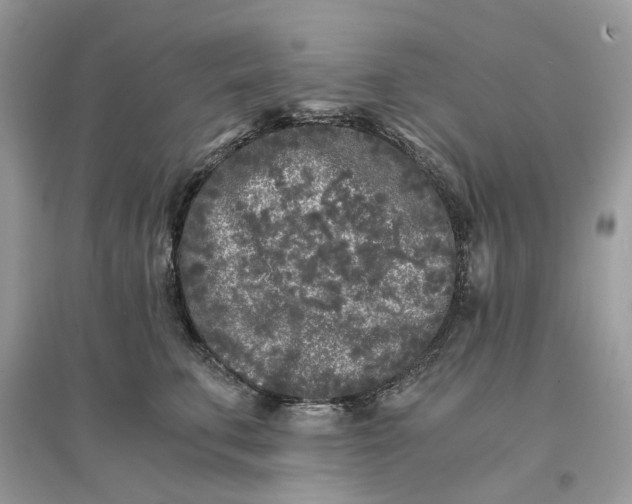 X0000096140711200802011210