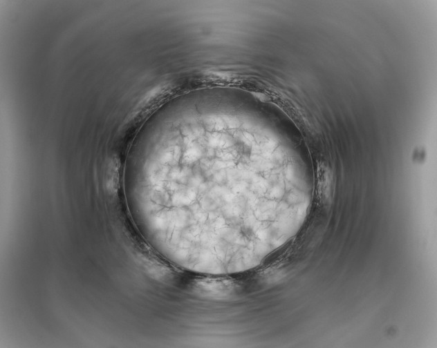 X0000096140712200802011210