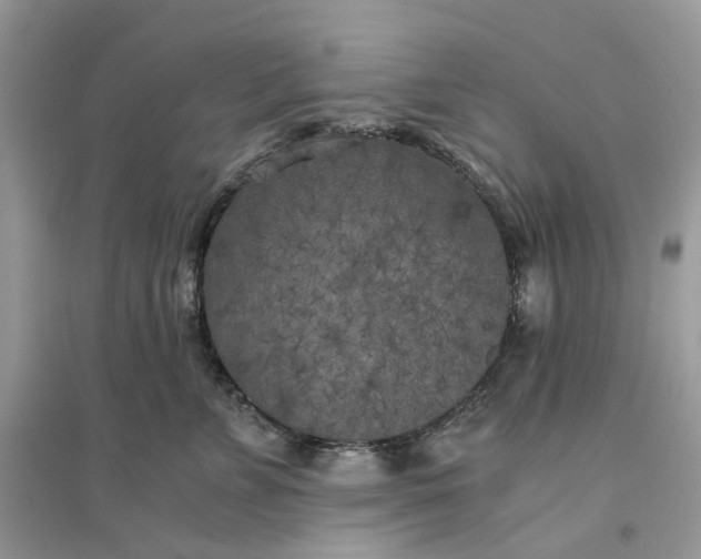 X0000096140715200802011210
