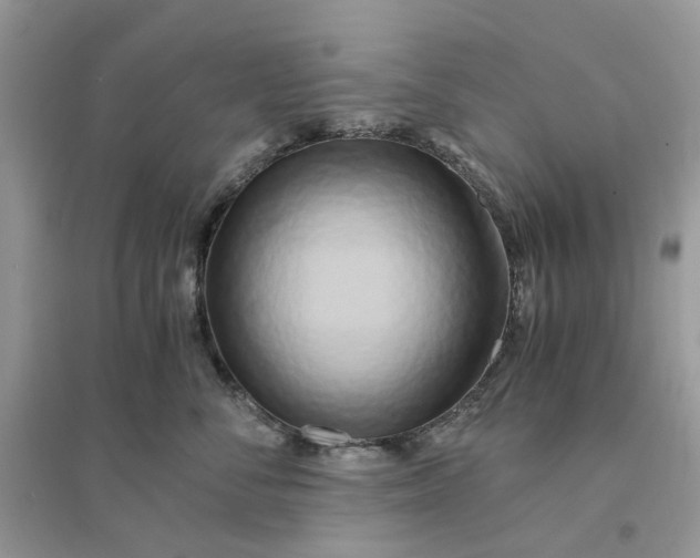 X0000096140716200802011210