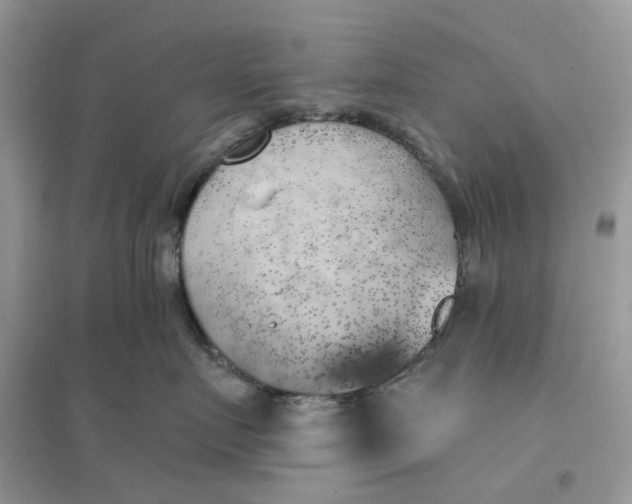 X0000096140719200802011210