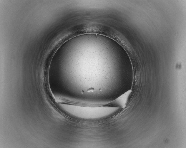X0000096140722200802011210