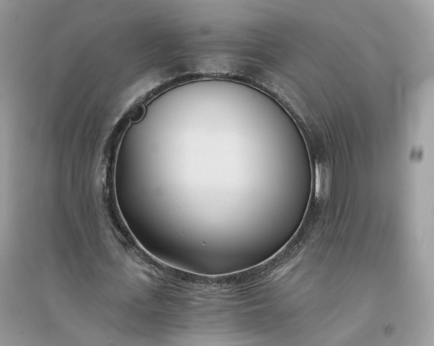 X0000096140723200802011210