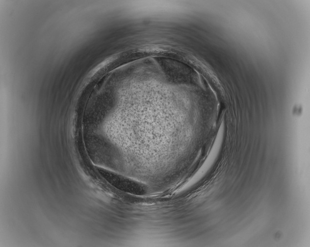 X0000096140724200802011210