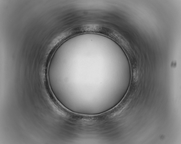 X0000096140725200802011210