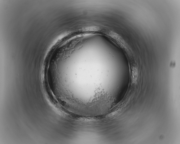 X0000096140726200802011210
