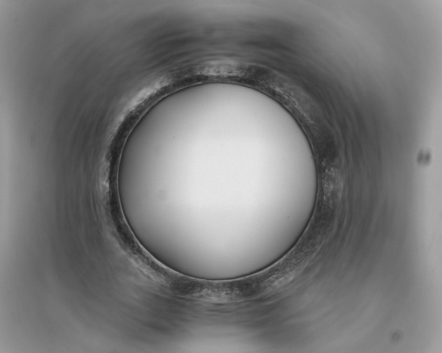X0000096140727200802011210