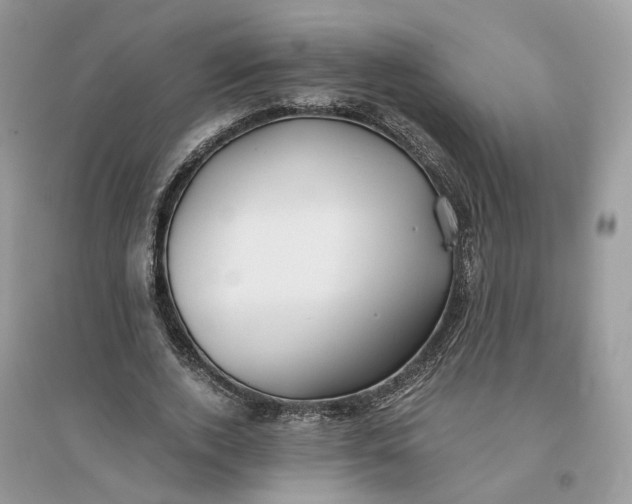 X0000096140728200802011210