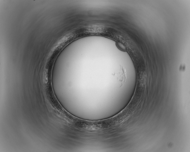 X0000096140731200802011210