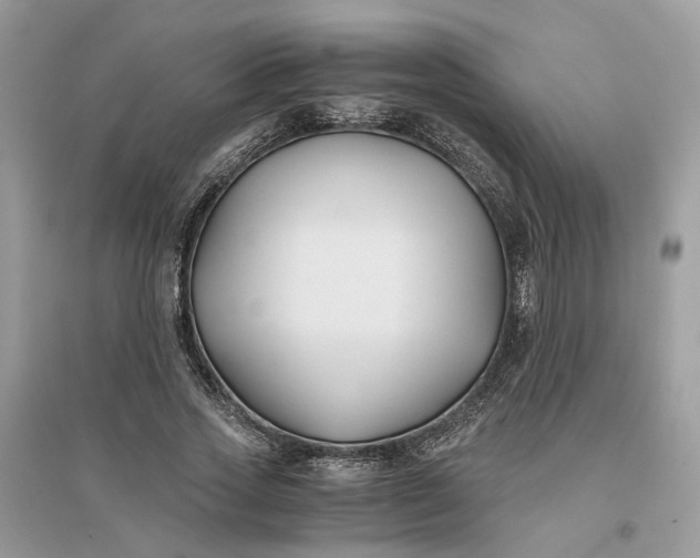 X0000096140733200802011210