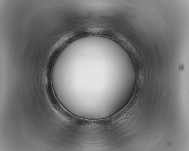 X0000096140734200802011210