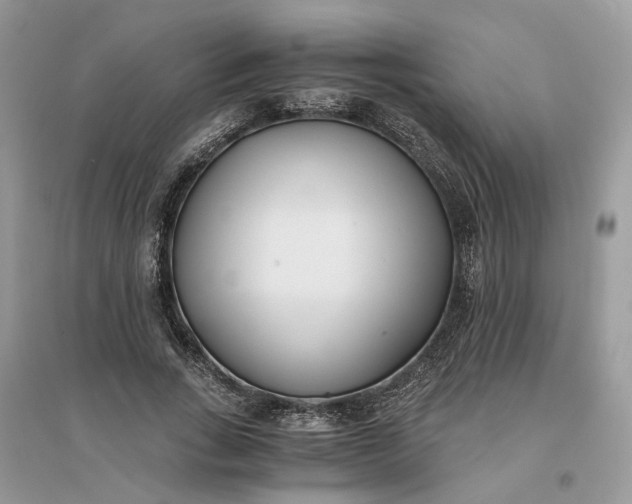 X0000096140735200802011210